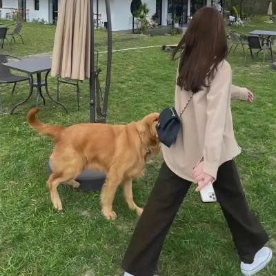 比佛利山庄的死去女人